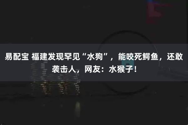易配宝 福建发现罕见“水狗”，能咬死鳄鱼，还敢袭击人，网友：水猴子！