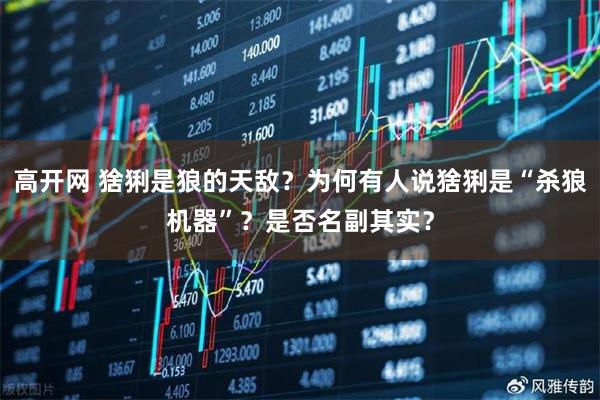 高开网 猞猁是狼的天敌？为何有人说猞猁是“杀狼机器”？是否名副其实？