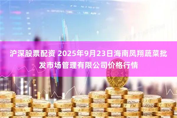 沪深股票配资 2025年9月23日海南凤翔蔬菜批发市场管理有限公司价格行情