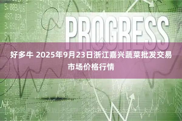 好多牛 2025年9月23日浙江嘉兴蔬菜批发交易市场价格行情
