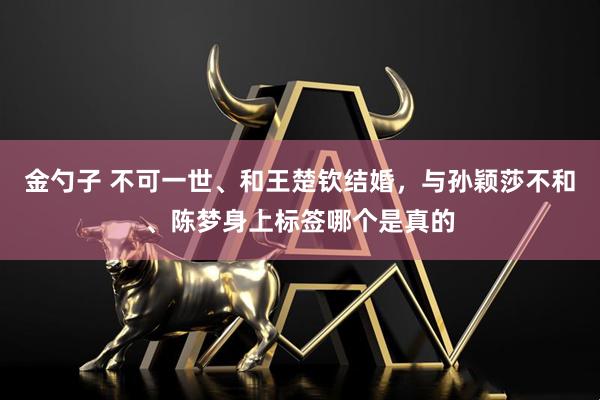 金勺子 不可一世、和王楚钦结婚，与孙颖莎不和、陈梦身上标签哪个是真的