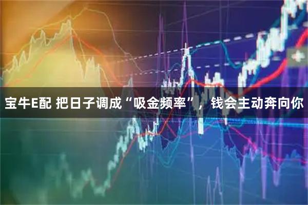 宝牛E配 把日子调成“吸金频率”，钱会主动奔向你