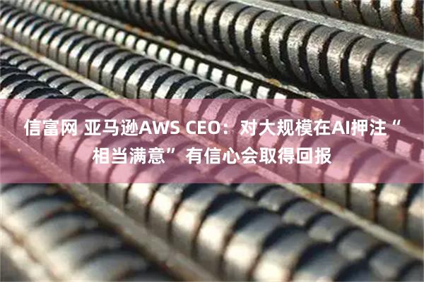 信富网 亚马逊AWS CEO：对大规模在AI押注“相当满意” 有信心会取得回报